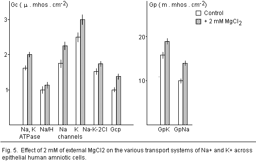 Figure 5.