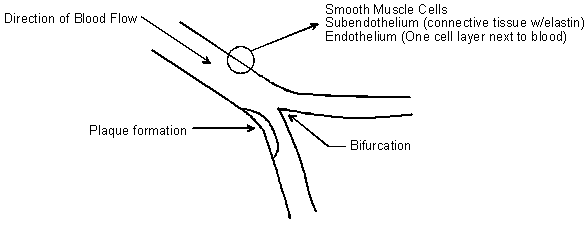 Tom Miller figure 1